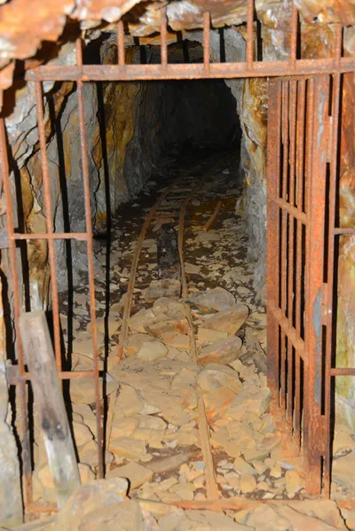 DSC_7841 (Large).JPG